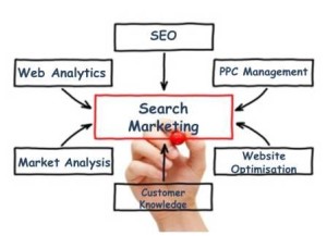 AMS Search Engine Marketing San Diego
